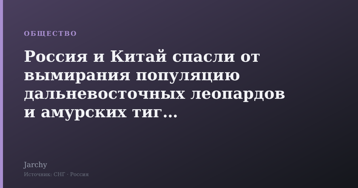 Россия и Китай спасли от вымирания популяцию дальневосточных леопардов и амурских тигров