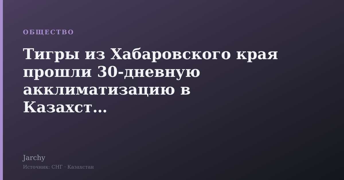 Тигры из Хабаровского края прошли 30‑дневную акклиматизацию в Казахстане